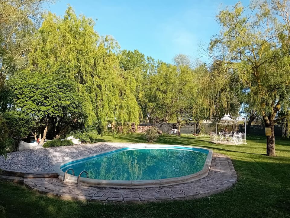 Spring, Day, Garden, Garden view, Pool view, Swimming pool