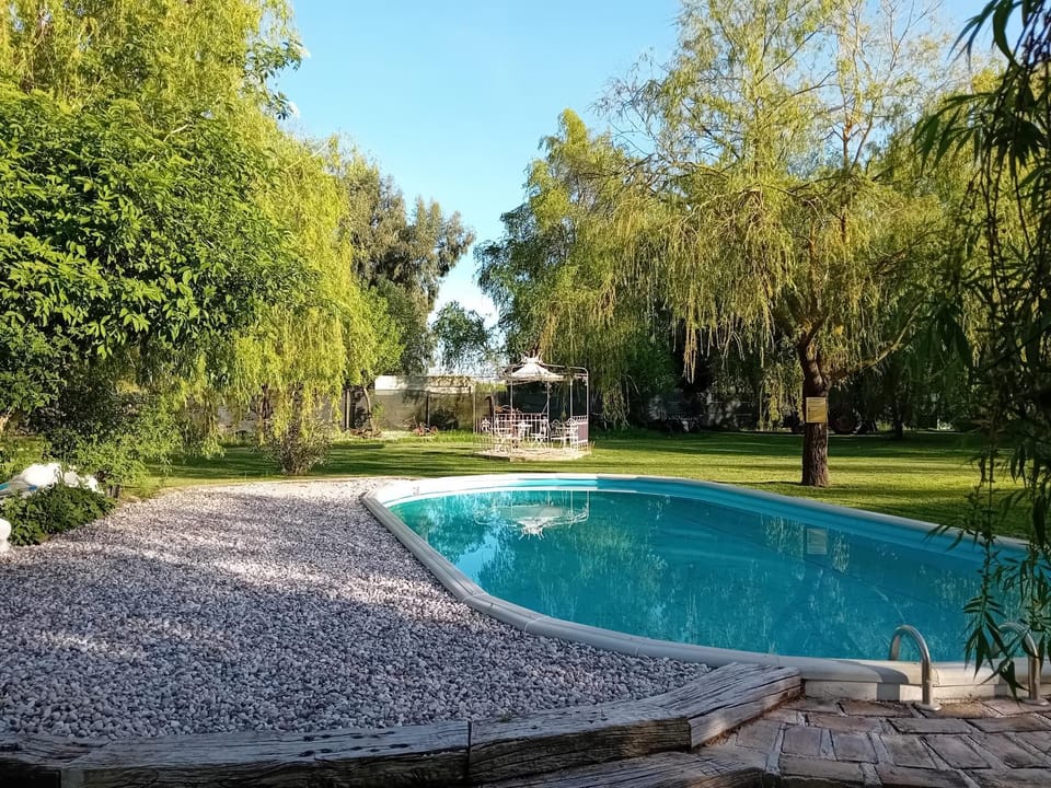 Spring, Garden view, Pool view, Swimming pool