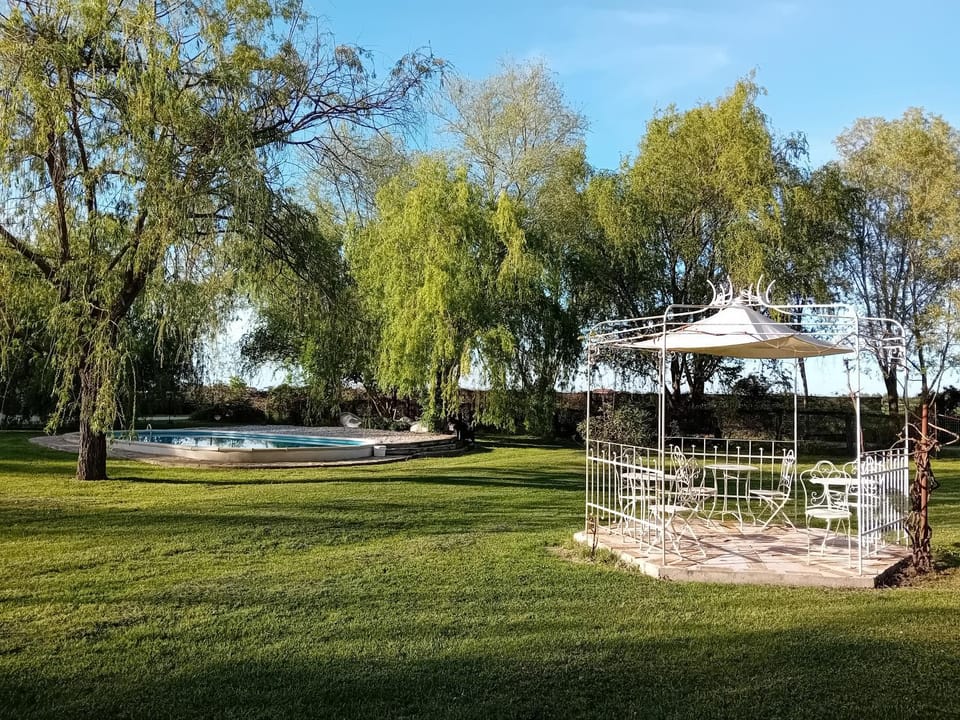 Spring, Day, Garden view, Pool view