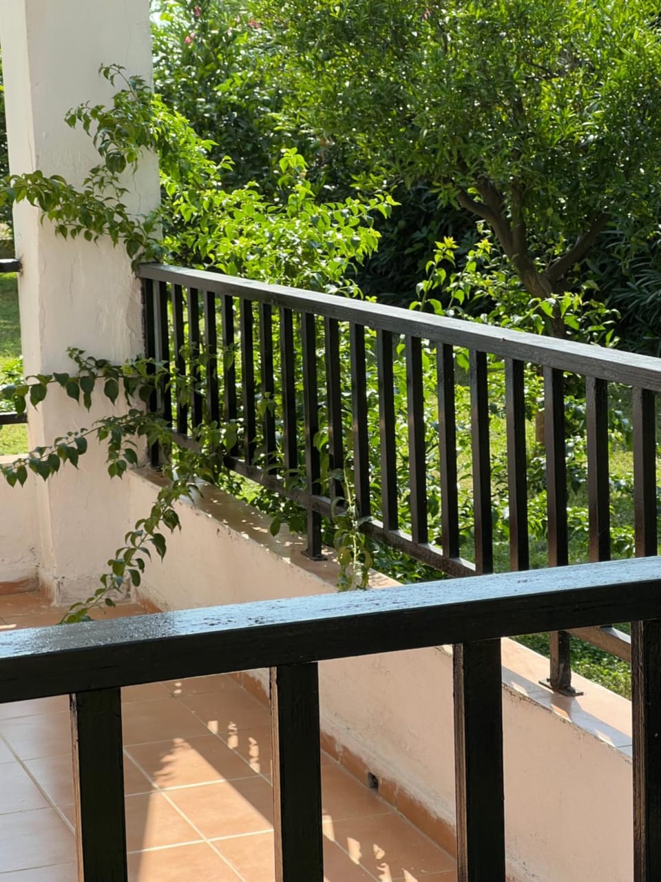 Traditional Bungalows Apartment hotel in Halkidiki