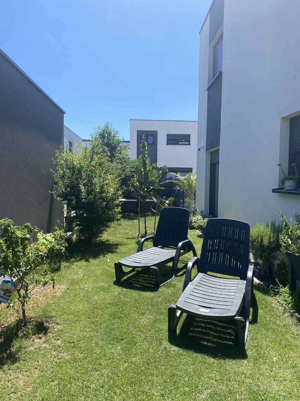 Balcony/Terrace, Garden view