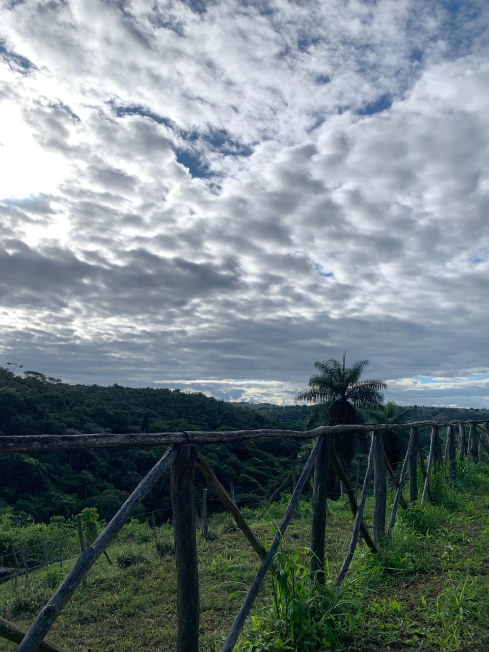 Day, Natural landscape