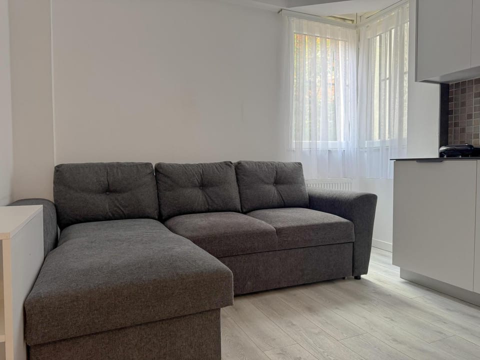 Kitchen or kitchenette, Living room, Seating area
