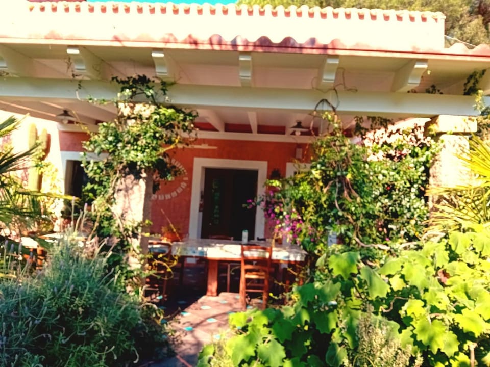 Patio, Day