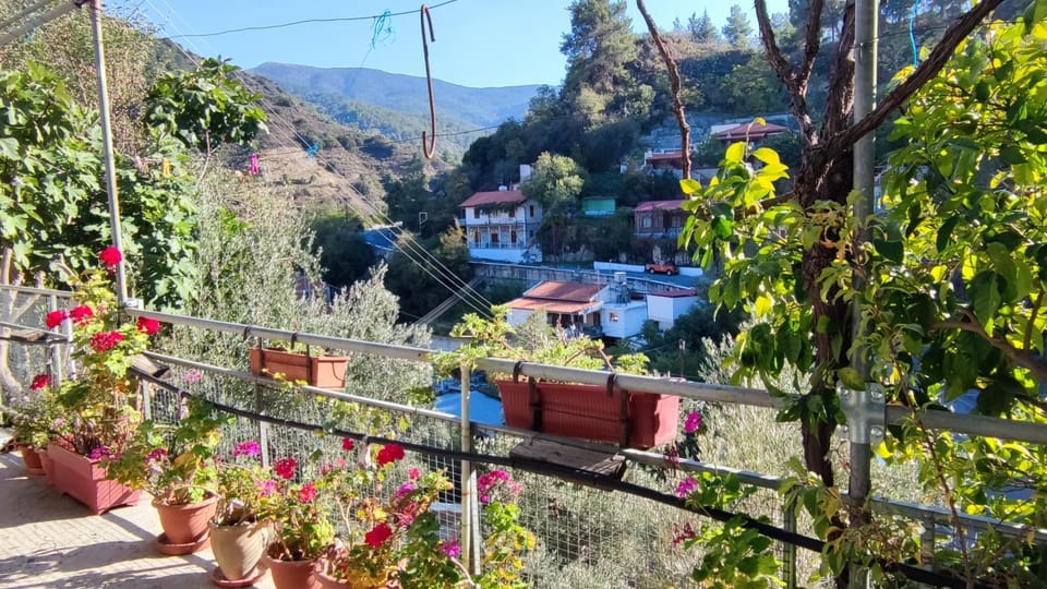 Neighbourhood, Garden, Mountain view, Street view