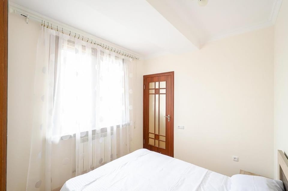 S31great apartment in the center of the capital Apartment in Yerevan