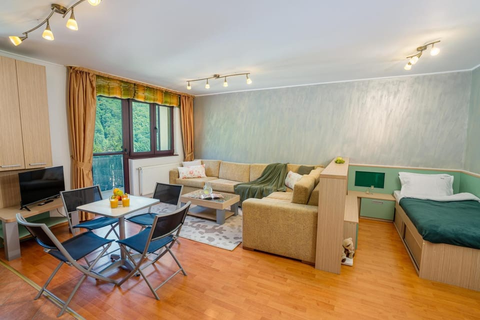 TV and multimedia, Living room, Seating area, Dining area, Guests, internet