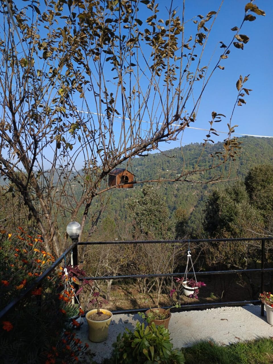 Natural landscape, Garden view, Mountain view