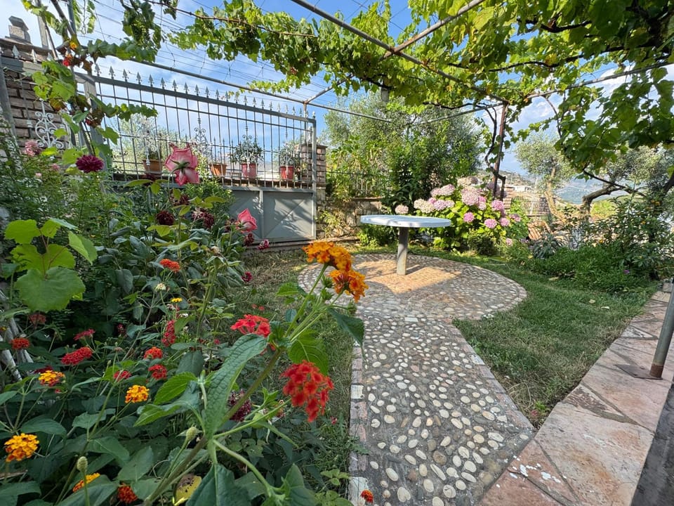 Spring, Day, Natural landscape, Garden, Garden view