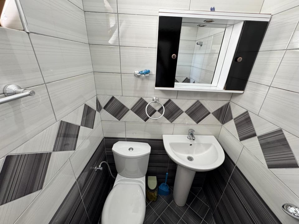 Shower, Toilet, Bathroom, bidet