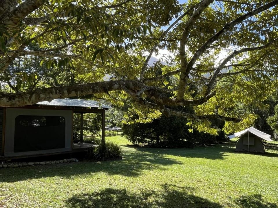 Noah Creek Eco Huts Resort in Thornton Beach