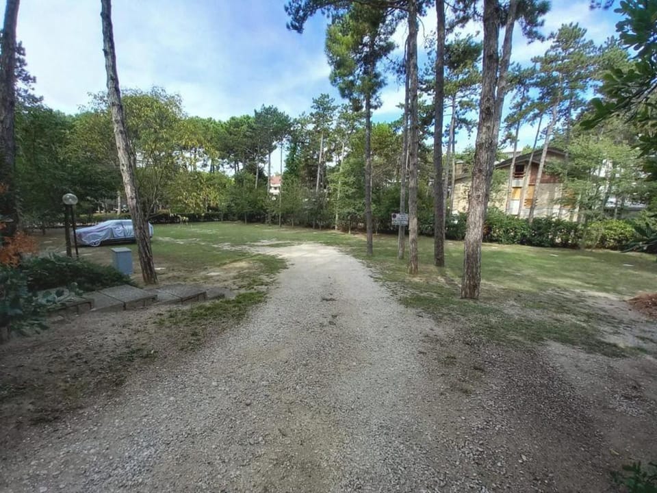 Garden, Garden view, Parking