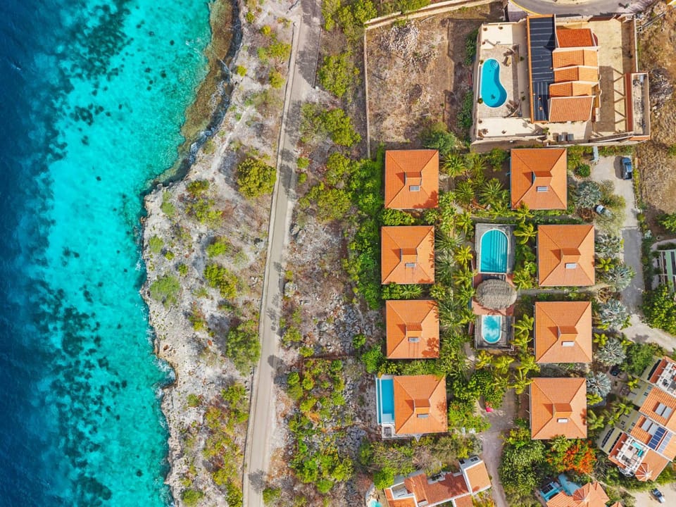 Villa Happy Turtle with a spectacular ocean view Villa in Venezuela