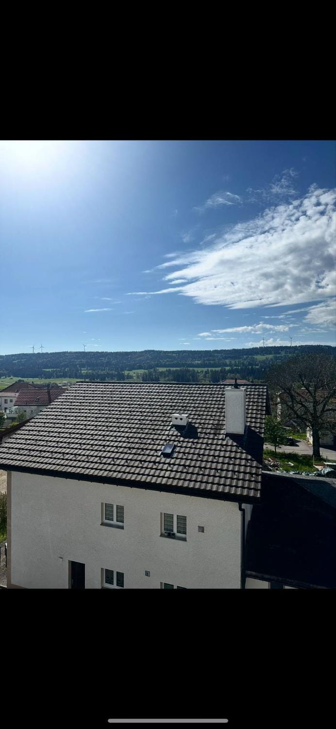 Le Cocoon Lumineux Apartment in Canton of Bern (Region)