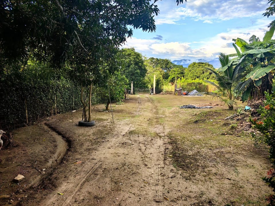 Natural landscape, Garden, Garden view
