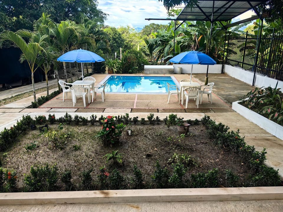Spring, Garden, Garden view, Pool view, Swimming pool