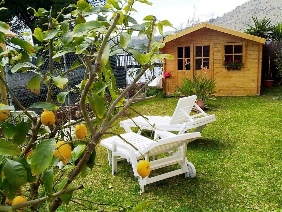 Garden, Mountain view, sunbed