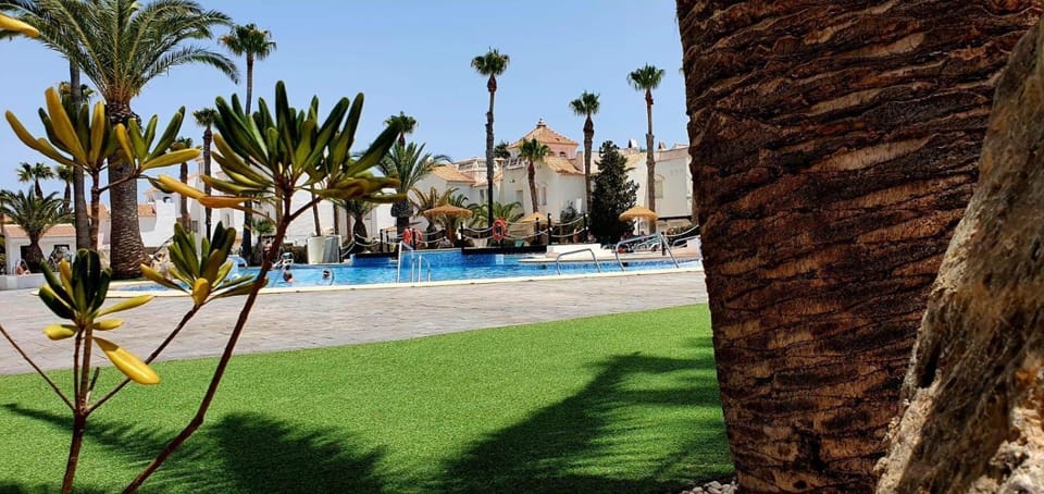 Garden, Pool view, Swimming pool