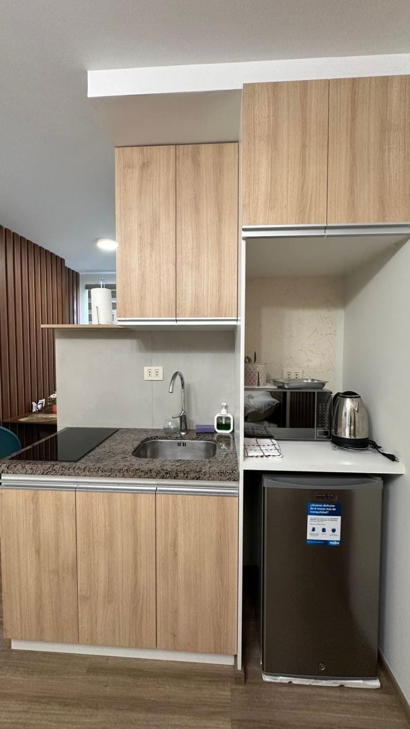 Elegant studio apartment A2 Apartment in Cochabamba