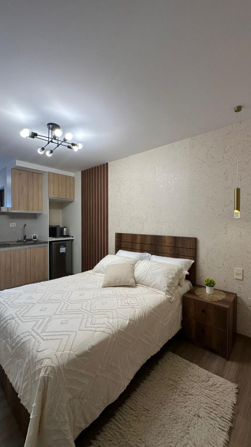 Elegant studio apartment A2 Apartment in Cochabamba