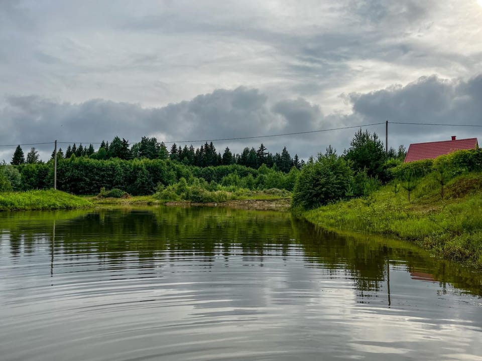 Lake view