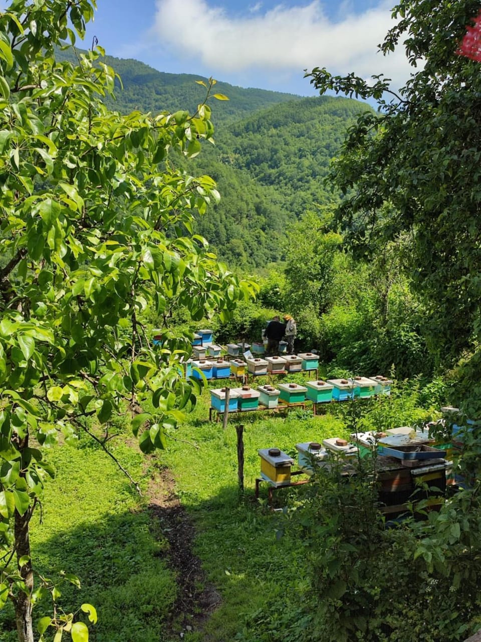 Honeyhouse Tjentiste, Foca House in Federation of Bosnia and Herzegovina