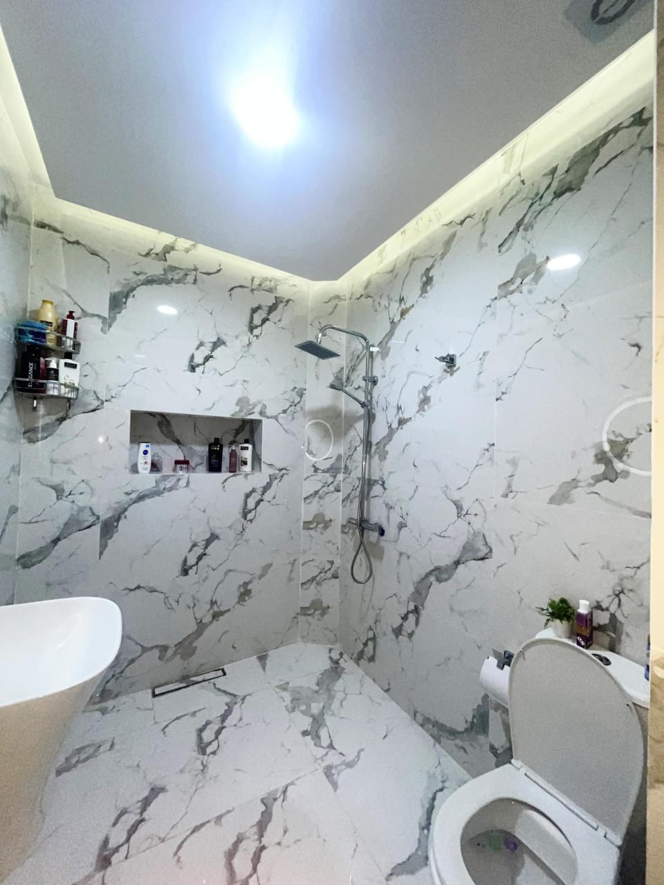 Shower, Toilet, Bathroom