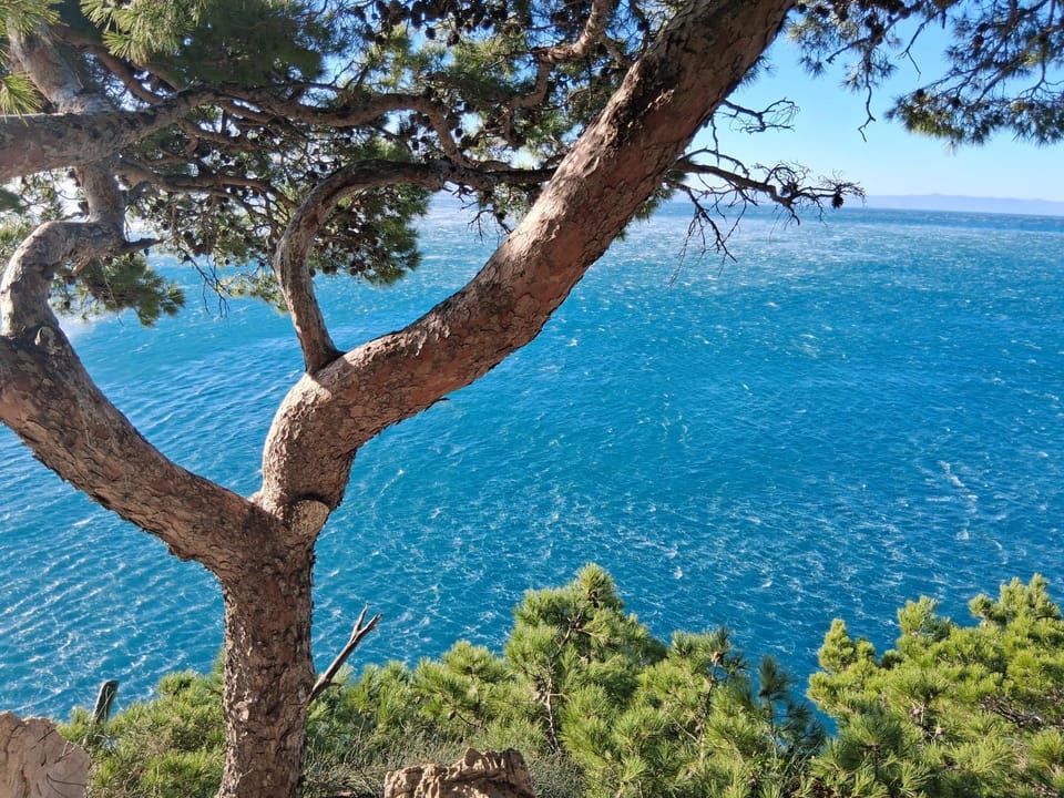 Natural landscape