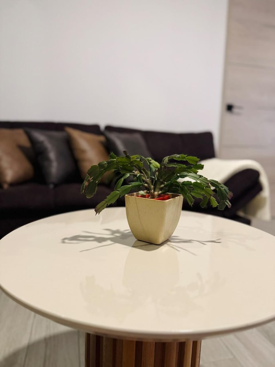 Beautiful City & Volcano Views Apartment in San Salvador