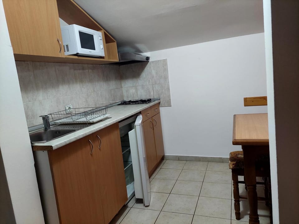Vila Ramona Sokobanja Apartment in Serbia