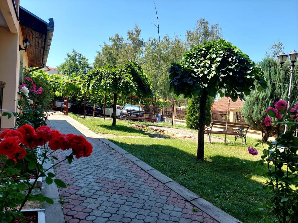Vila Ramona Sokobanja Apartment in Serbia