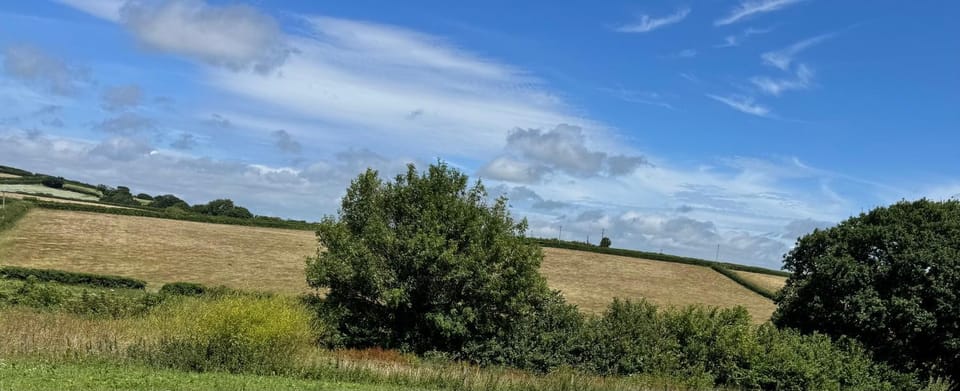 View (from property/room)