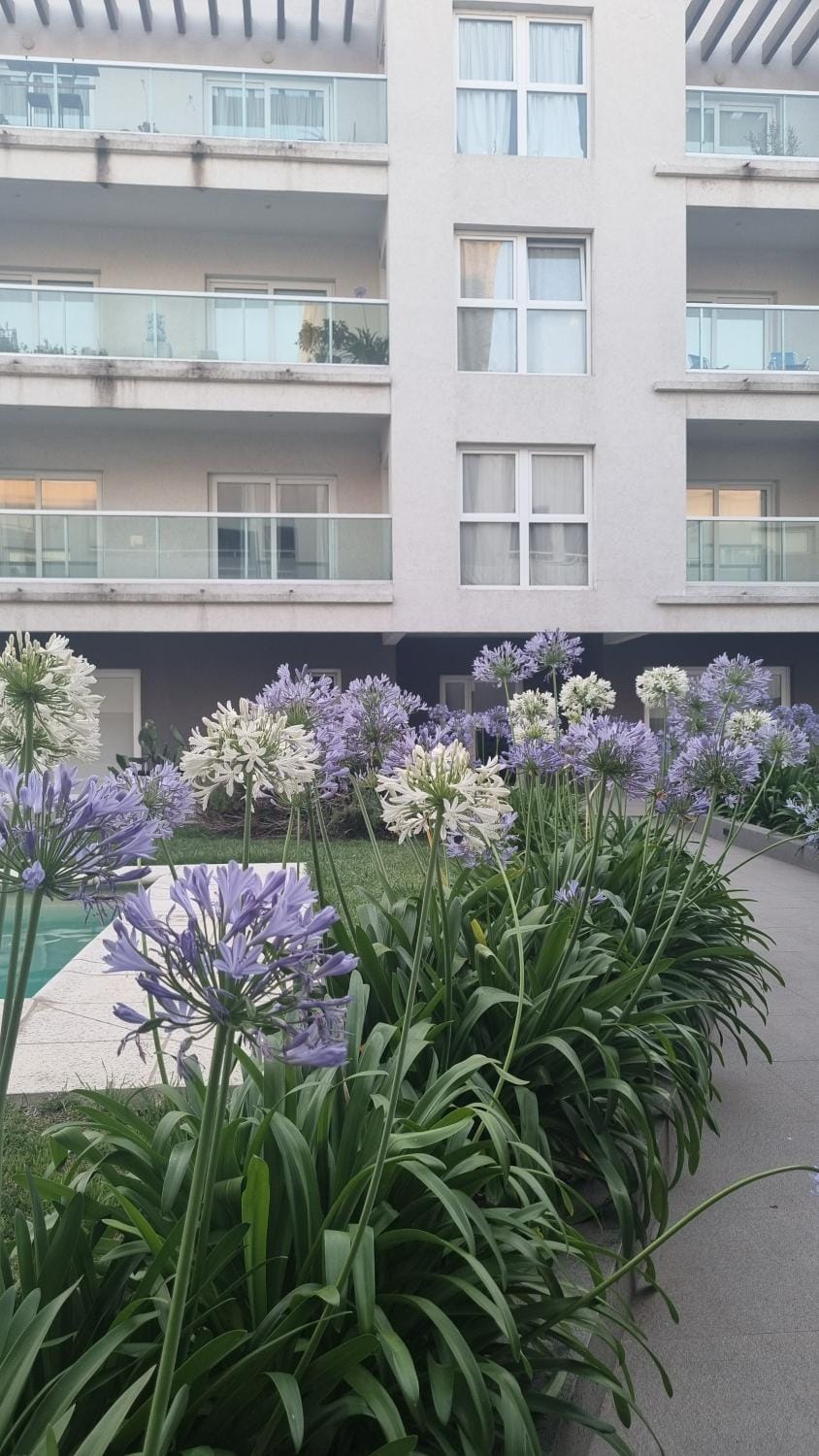 Garden, Garden view