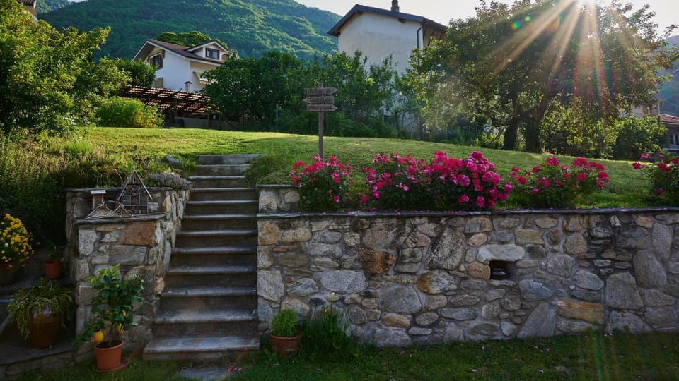 Day, Natural landscape, Garden, Garden view