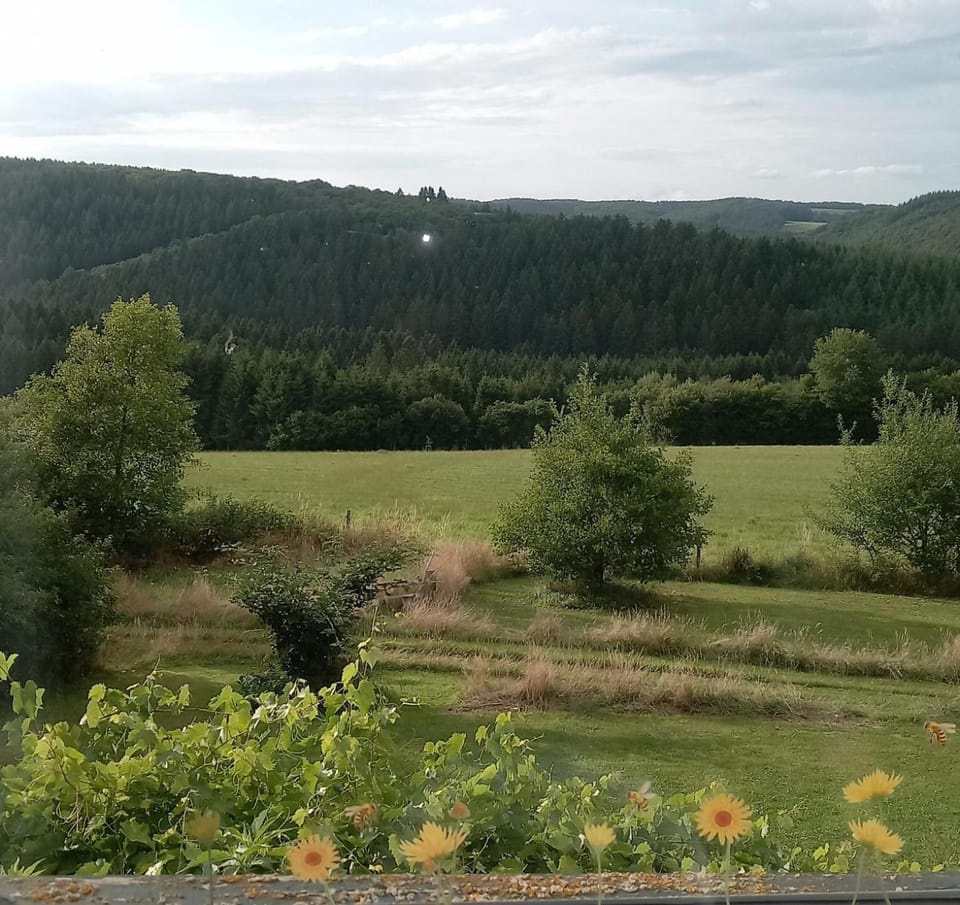Natural landscape