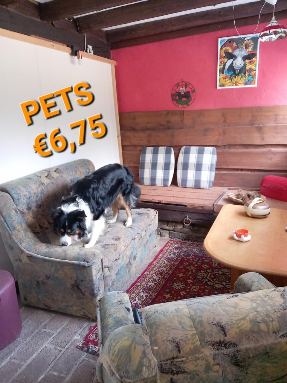 Pets