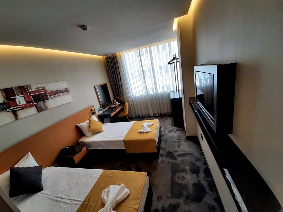 Photo of the whole room