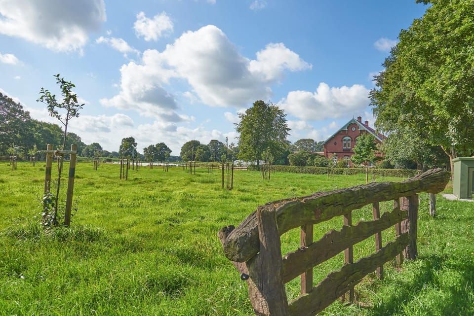 Natural landscape, Garden