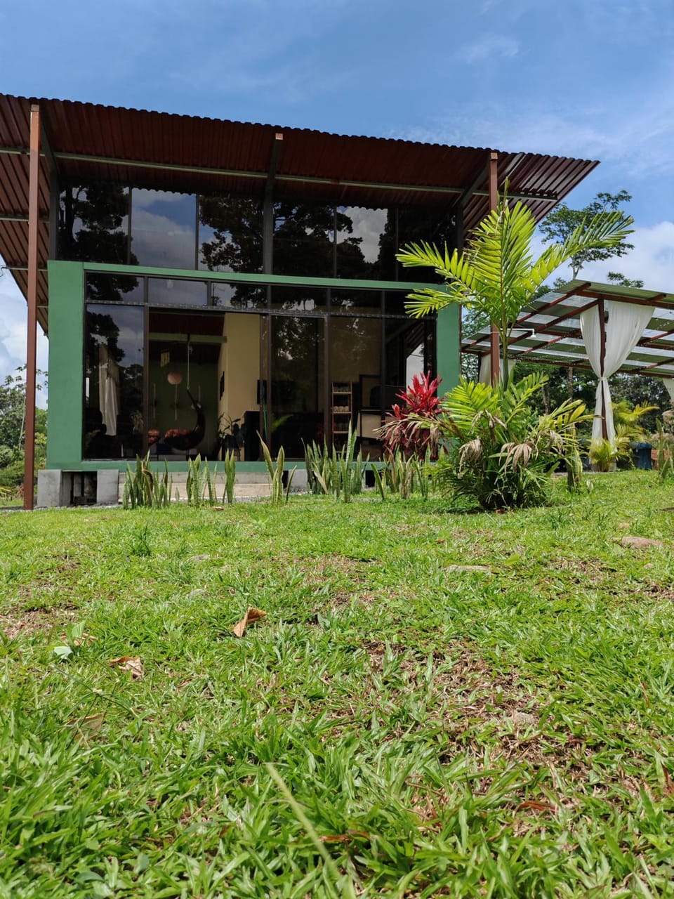 Garden view