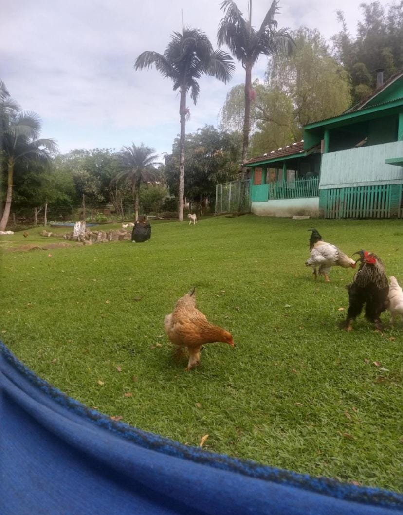 Rancho feliz House in State of Rio Grande do Sul