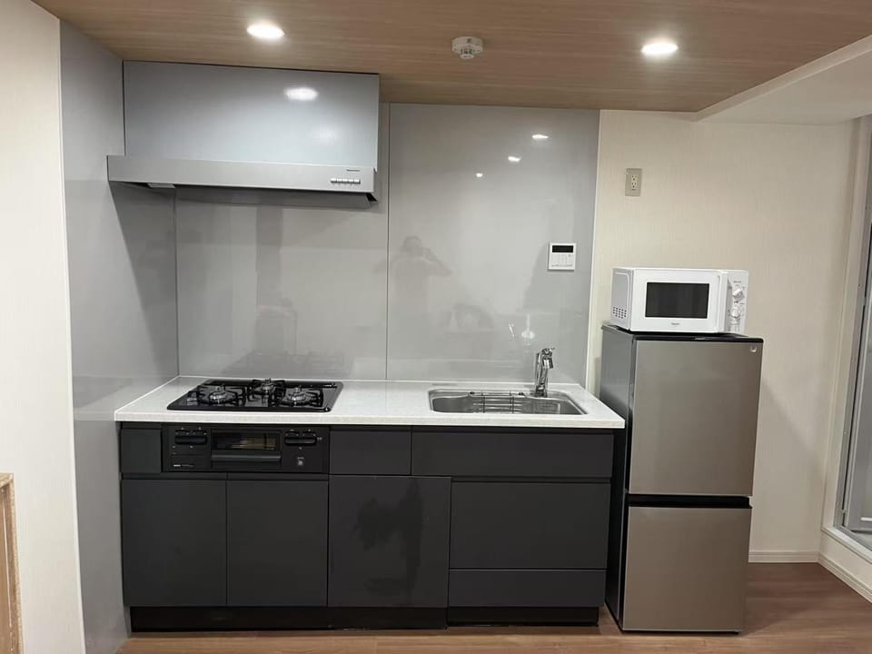 WZNET新小岩101 成田空港都心便利商店街近い1LDK 43平 5Pax Apartment in Japan