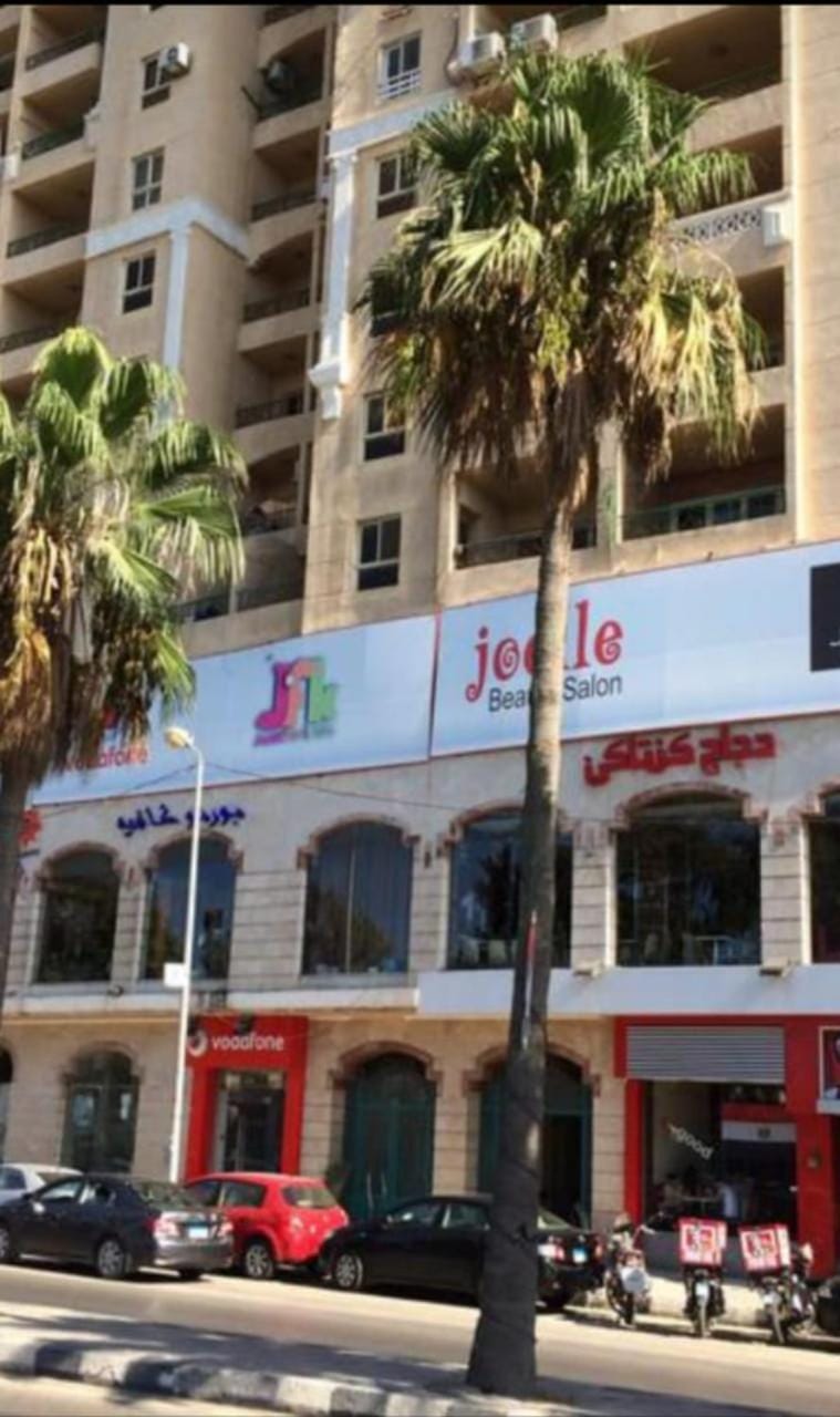 شقة فخمة للايجار الاسبوعي و الشهري Apartment in Alexandria