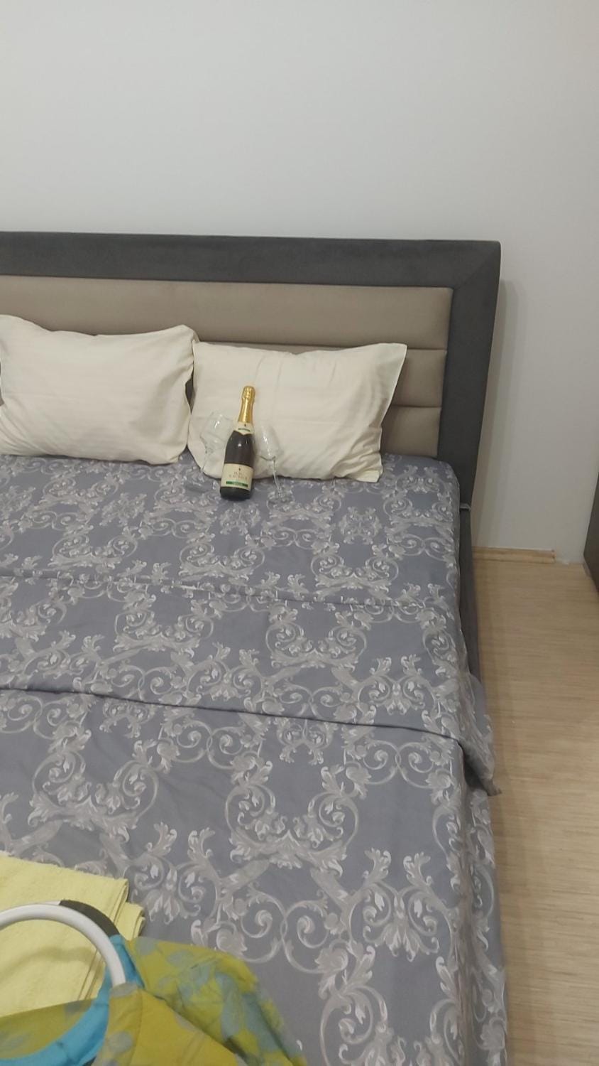 Sofi Apartment in Serbia