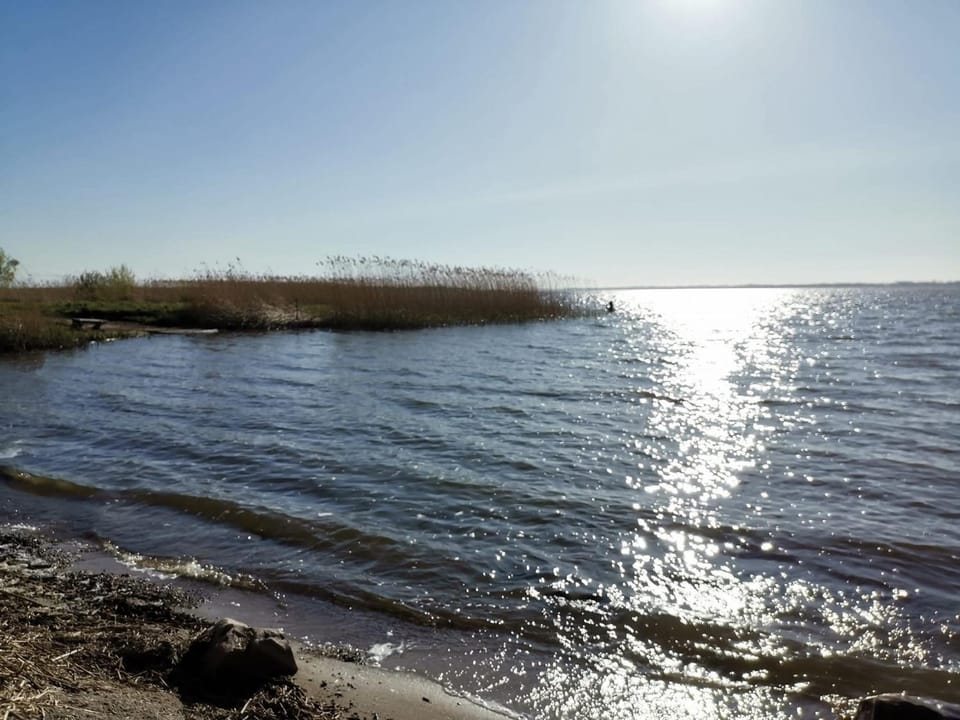 Lake view