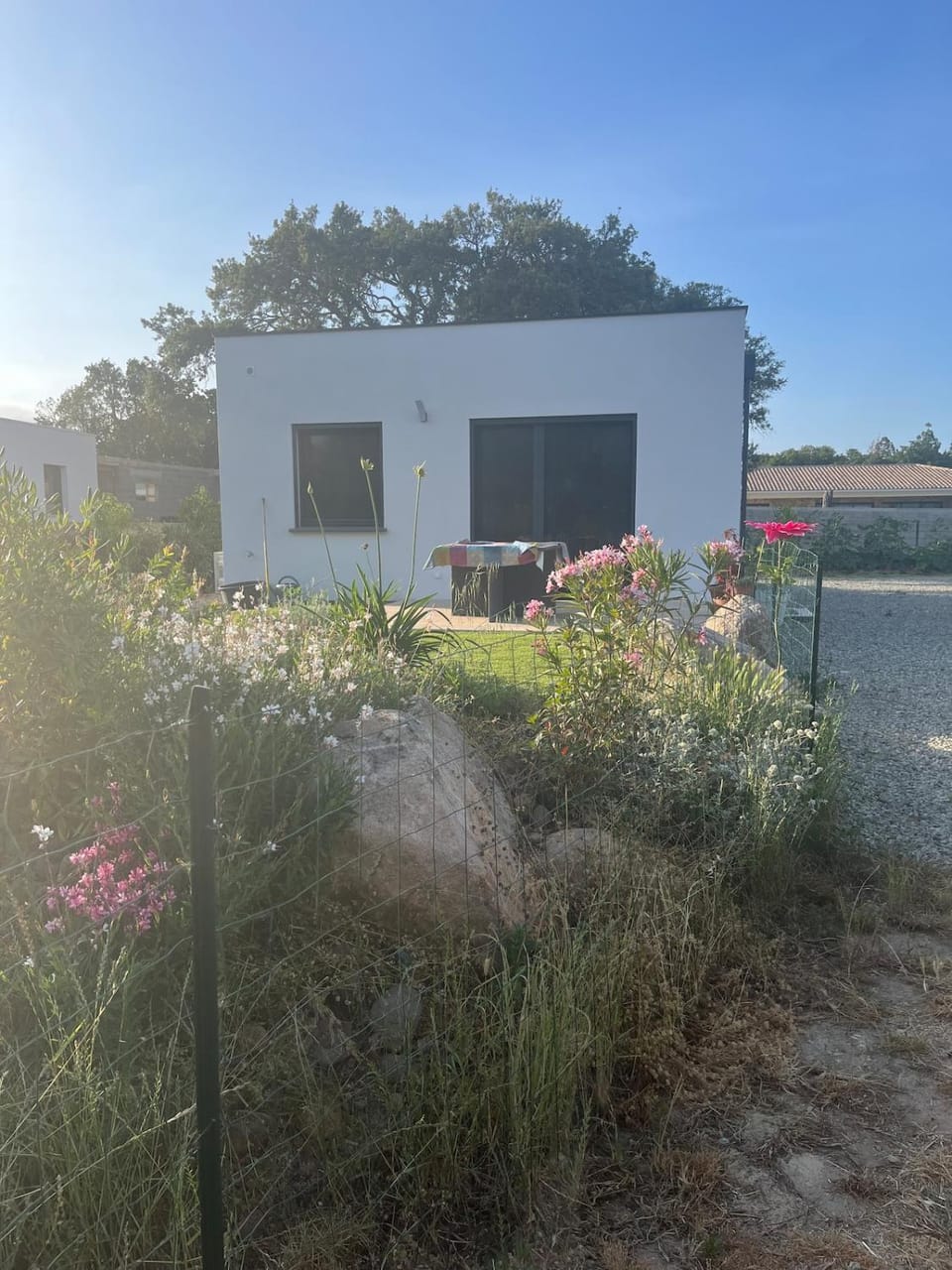 Property building, Garden, Garden, Garden view
