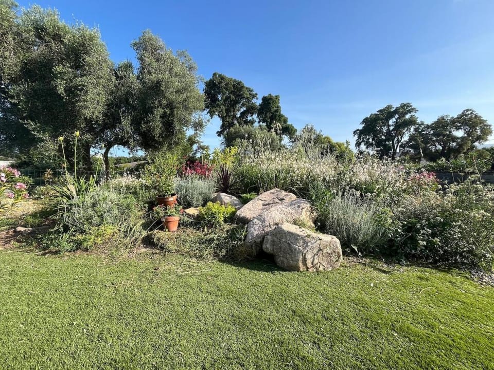 Garden, Garden view