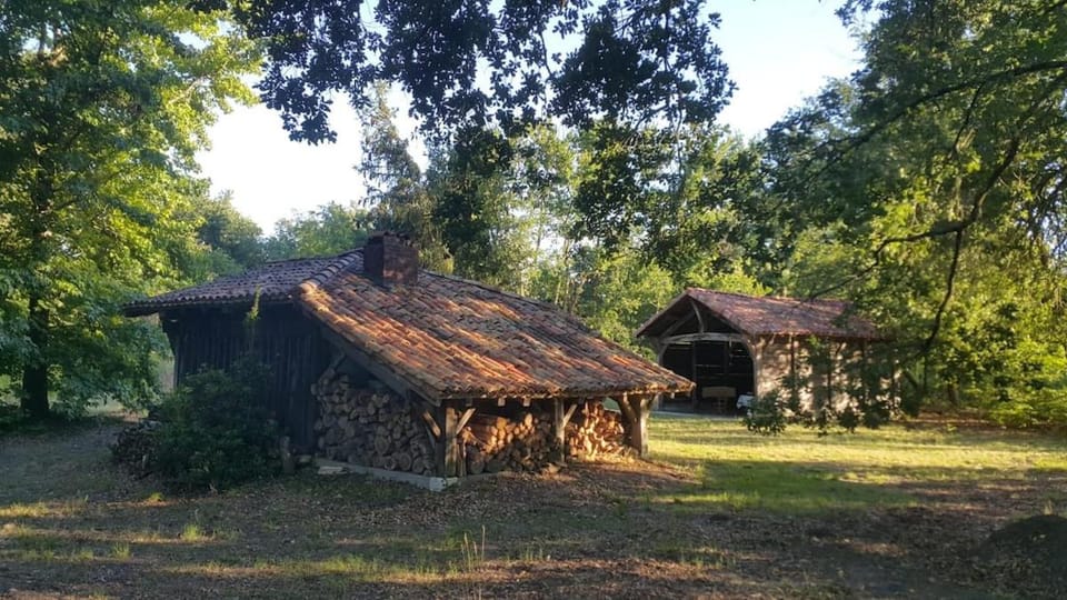 Maison landaise traditionnelle, piscine, airial privé House in Nouvelle-Aquitaine