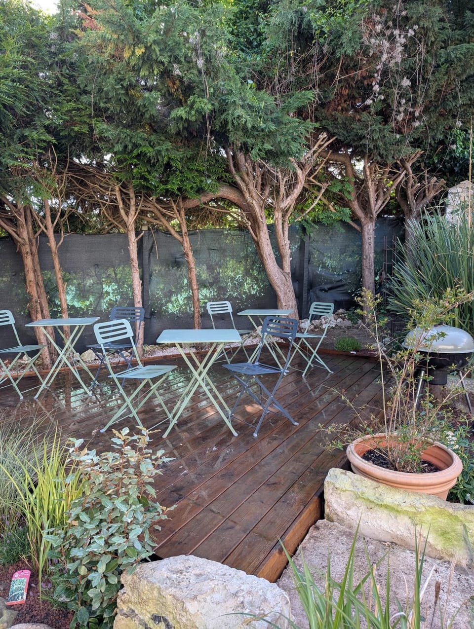 Patio, Spring, Day, Garden, Garden view