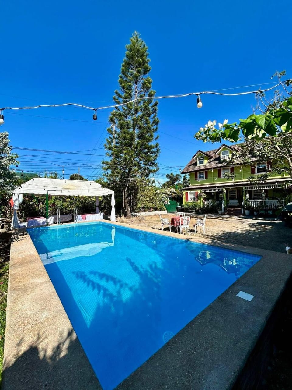 Swimming pool, Sports