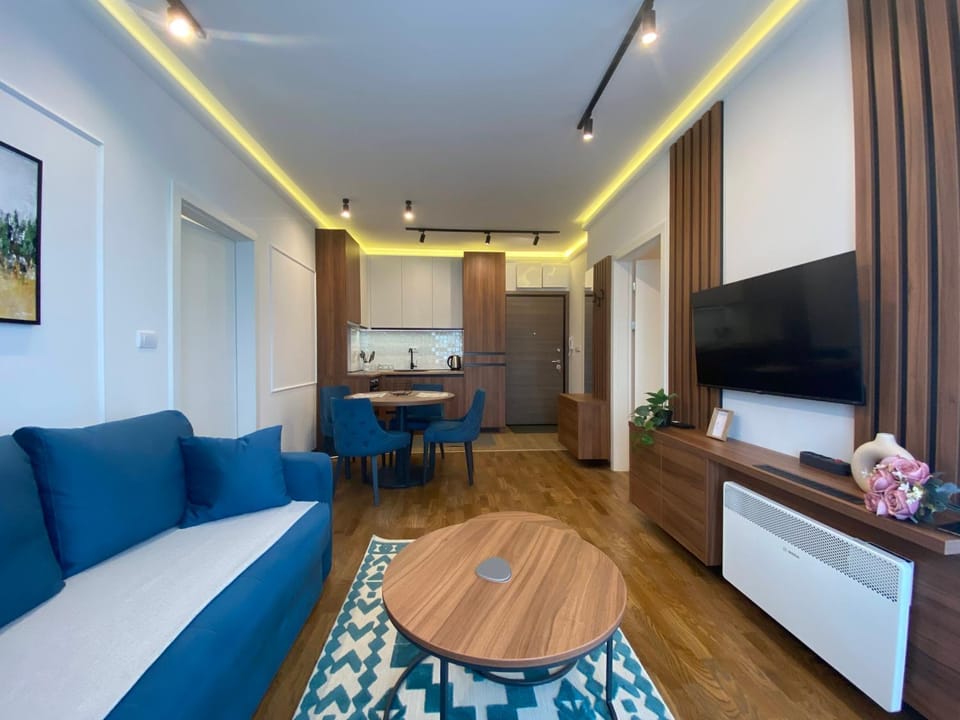 TV and multimedia